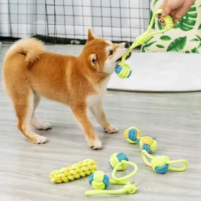 dog toy set dog toy set