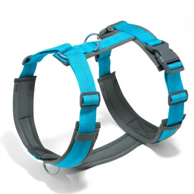 Innovative Anti-Pull Dog Harness and Leash for Walks