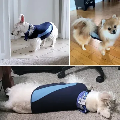 Wholesale Calming Dog Clothes Wholesale Calming Dog Clothes