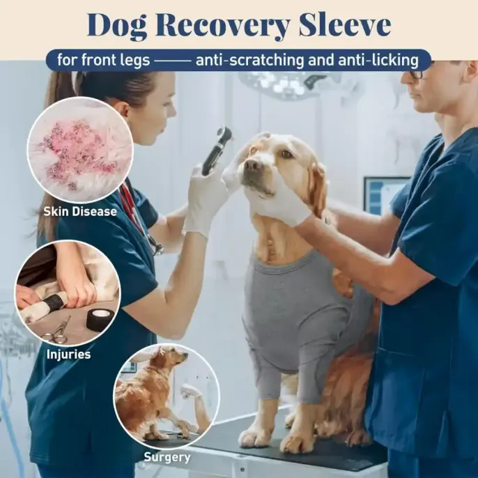 Dog Recovery Sleeves Wholesalers Dog Recovery Sleeves Wholesalers