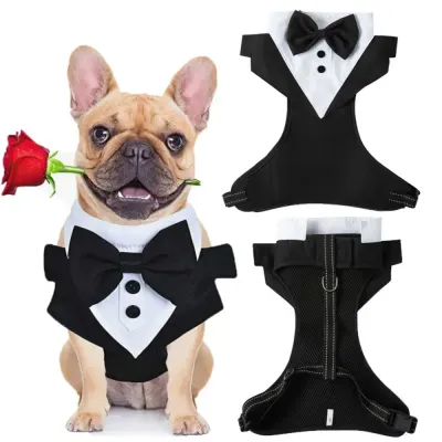Equipped with a durable D-ring, this harness ensures a secure leash attachment, providing added safety and reliability for walks, while preventing pulling or straining.