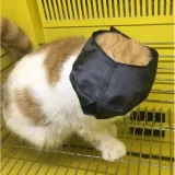 Breathable Cat Muzzles Breathable Cat Muzzles