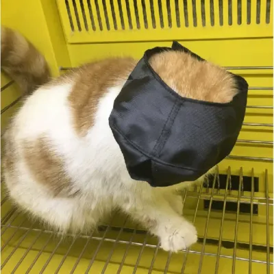 Breathable Cat Muzzles Breathable Cat Muzzles