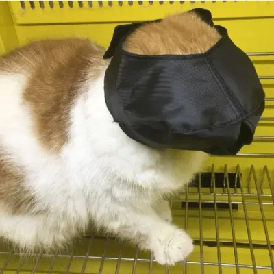 Breathable Cat Muzzle Breathable Cat Muzzle
