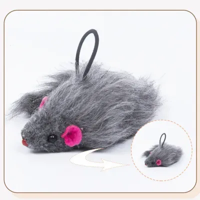 Hanging Cat Toys