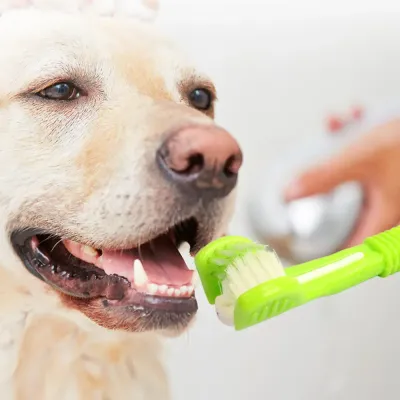 Three Sided Soft Dog Toothbrush Dog Toothbrush Three Sided