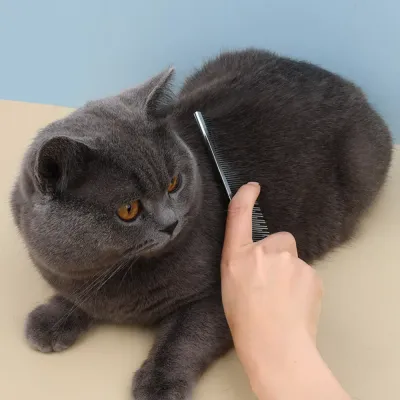 Rounded Corners Cat Comb Rounded Corners Cat Comb