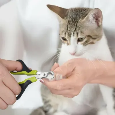Tilt Blade Stainless Steel Cat Nail Clippers Cats Curved Blade Stainless Steel Cat Nail Clippers
