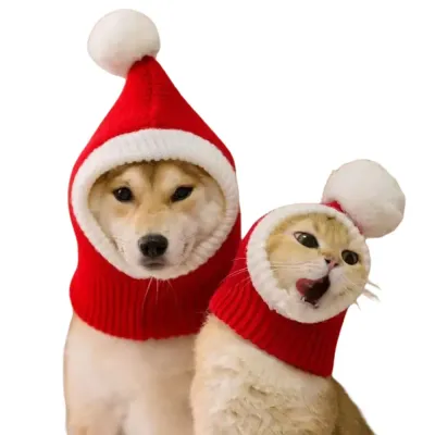 Dog Hat Knit Dog Hat Knit