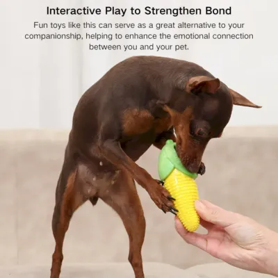 vegetable dog toys wholesale