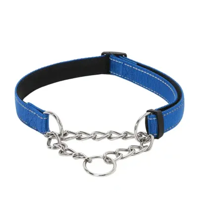 Stainless Steel Collar