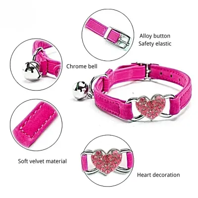 Cat Collar with Safety Belt 