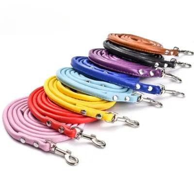 pet leash pet leash