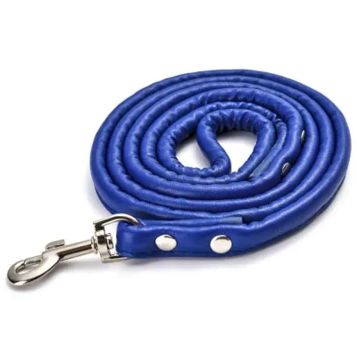 blue pet leash