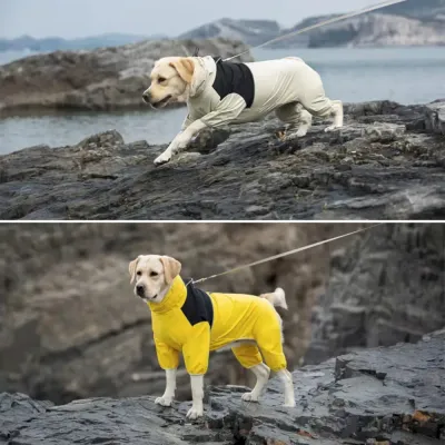 waterproof dog clothing