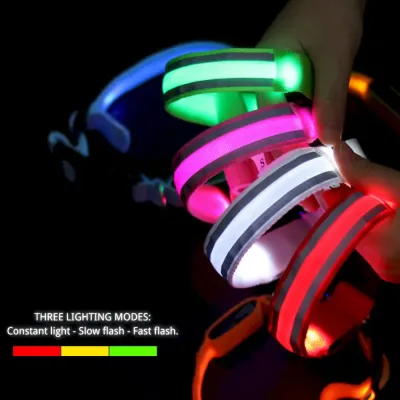 Outdoor dog collar Outdoor dog collar with light
