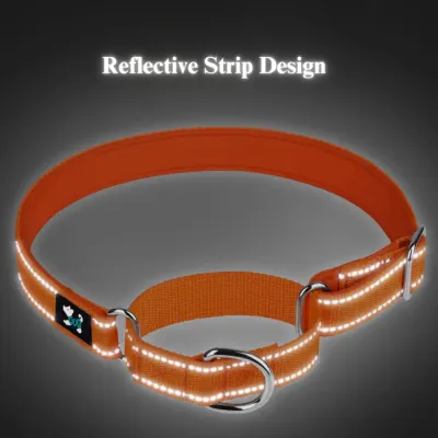 no pull collar for dogs (1) Featuring rust-resistant alloy hardware, this collar ensures longevity and durability, making it a strong and reliable product for businesses seeking long-lasting pet accessories.