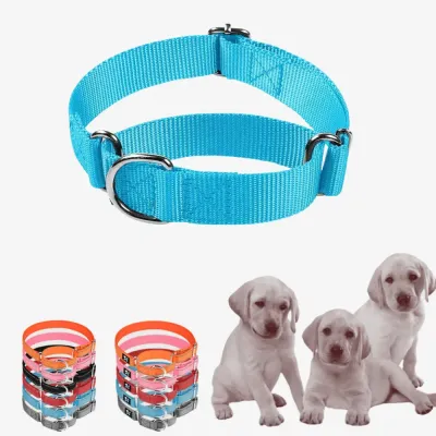 no pull dog collar (1) This collar is equipped with high-quality neoprene lining, providing soft comfort against the neck while remaining breathable and durable enough for daily use or training activities.
