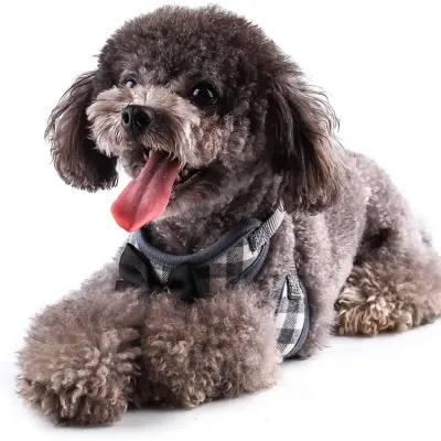 Small Dog Harness and Leash Wholesaler Small Dog Harness and Leash Wholesaler