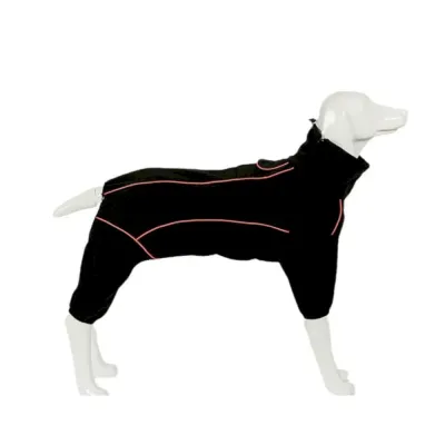 black dog warm suit