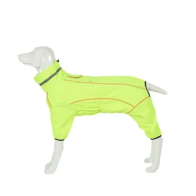 green dog warm suit