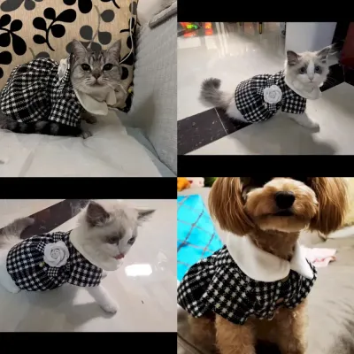 Dog coat with necklace Pet clothing for winter