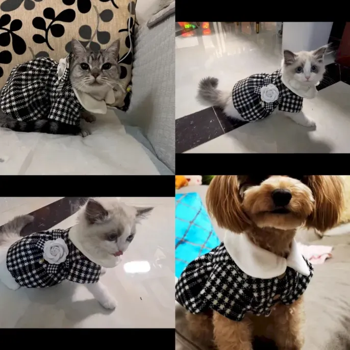 Dog coat with necklace Pet clothing for winter