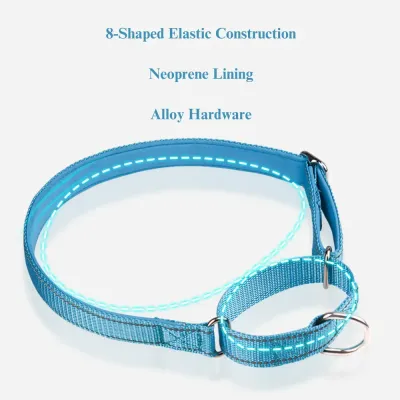 no pull dog collar (3) Ideal for businesses focusing on training, this collar is designed to help prevent explosive pulls and sudden movements, promoting obedience and comfort during training sessions.