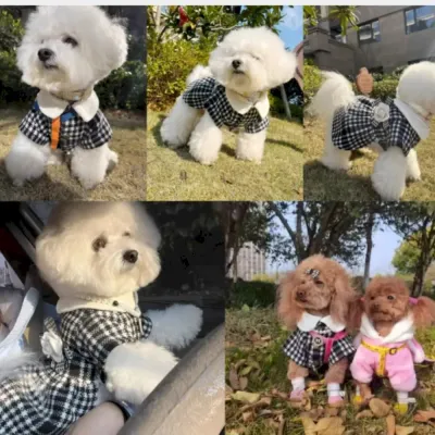 Warm dog clothing Bichon dog coat