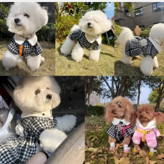 Warm dog clothing Bichon dog coat
