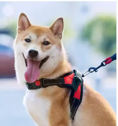 Dog Vest Harness Wholesaler