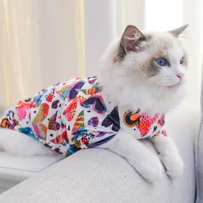 Heart Print Colorful Stylish Pet Clothes Cats Colorful Heart Print Elastic Pet Clothes