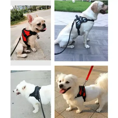 Dog Vest Harness Provider