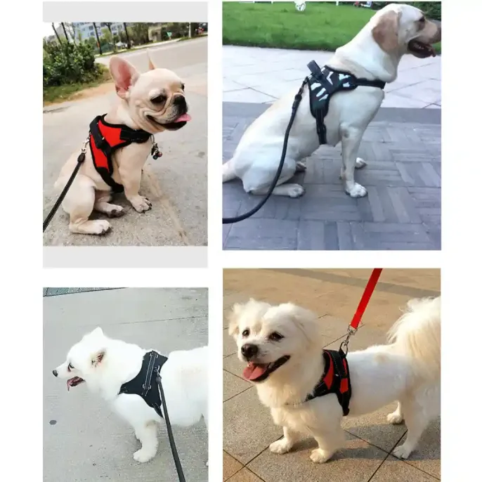 Dog Vest Harness Provider