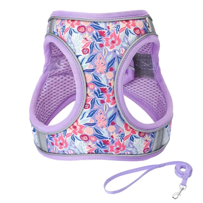 Breathable dog harness Breathable dog harness wholesale