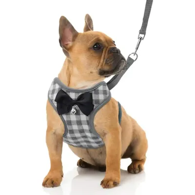 Small Dog Harness and Leash Suppliers