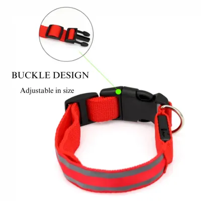 Visibility dog collar Visibility dog collar night walk