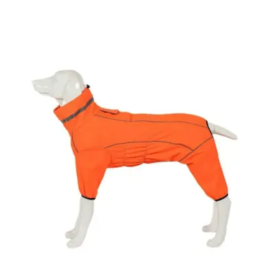 dog warm suit