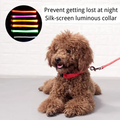 LED dog collar LED dog collar for night walk