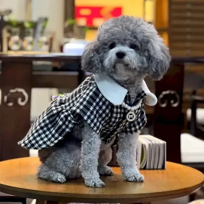 Stylish dog coat Pomeranian dog coat