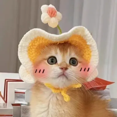 Pet costume accessory Pet costume accessory wholesale