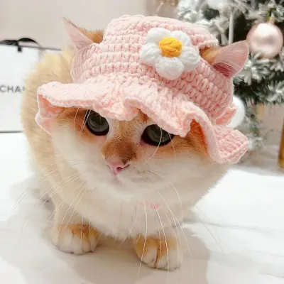 Knitted pet hat Knitted pet hat for cat