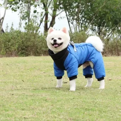Hot Waterproof Dog Jackets Hot Waterproof Dog Jackets