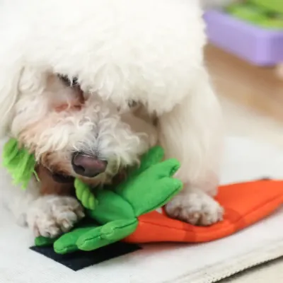 This cute, durable pet toy is perfect for tug-of-war, solo play, and engaging your dog with its fun sounds and textures, ideal for active pets.