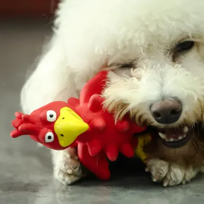 Safe, durable, and fun, this turkey-shaped latex dog toy is perfect for small to medium dogs, offering hours of entertainment with its squeaker and chew-friendly design.