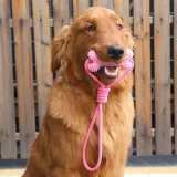 Dog toys for small dogs Non-toxic dog chew toys