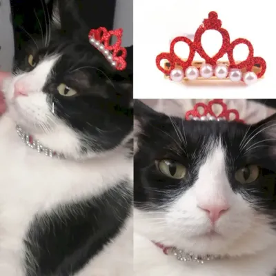 Pet headband for small dogs Crown - Style Pet Headband