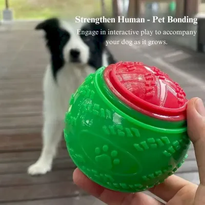 Interactive dog toys Durable dog chew toys