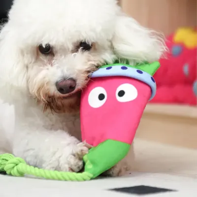 crinkle dog toys (1)_1 Cute Design: Featuring a fun, playful shape, this toy also adds an element of cuteness to your pet's toy collection, making it a delightful addition to any pet's accessories.