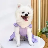 Wedding clothes for pets Leash attachment pet dress